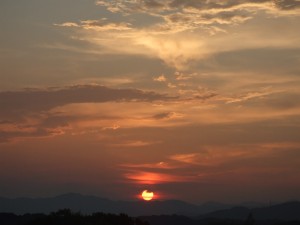 DSCF2822