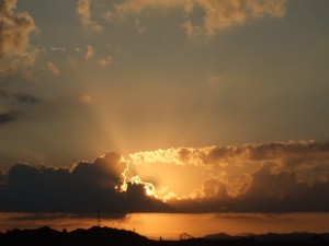 DSCF2864