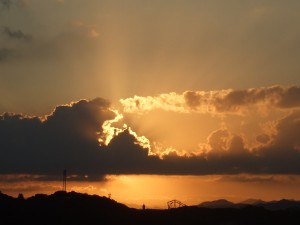 DSCF2869