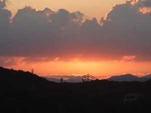 DSCF2884
