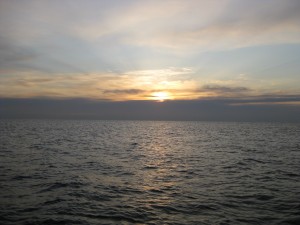 IMG_0010