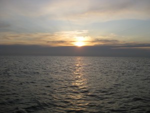 IMG_0011