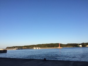 IMG_3004