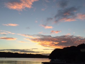 IMG_3942
